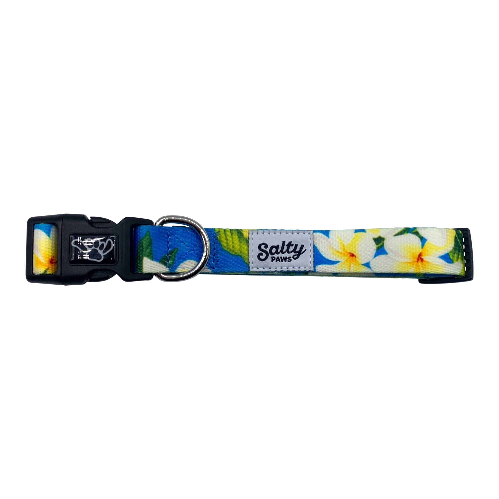 Salty Paws Surfing Dog Collar | Designs for Beach Dogs, Floral, Fishing, Surfing, Hawaiian, Blue Plumaria S