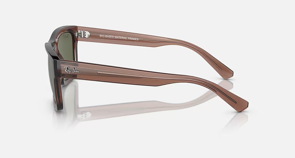 Ray-Ban Warren Sunglasses TransparentBrown DkGreen