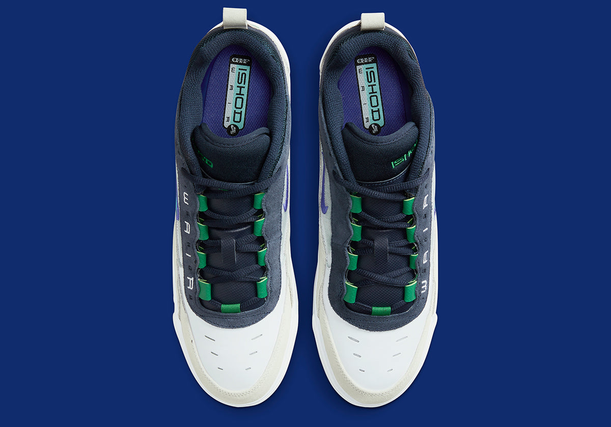 Nike SB Ishod 2 101 11