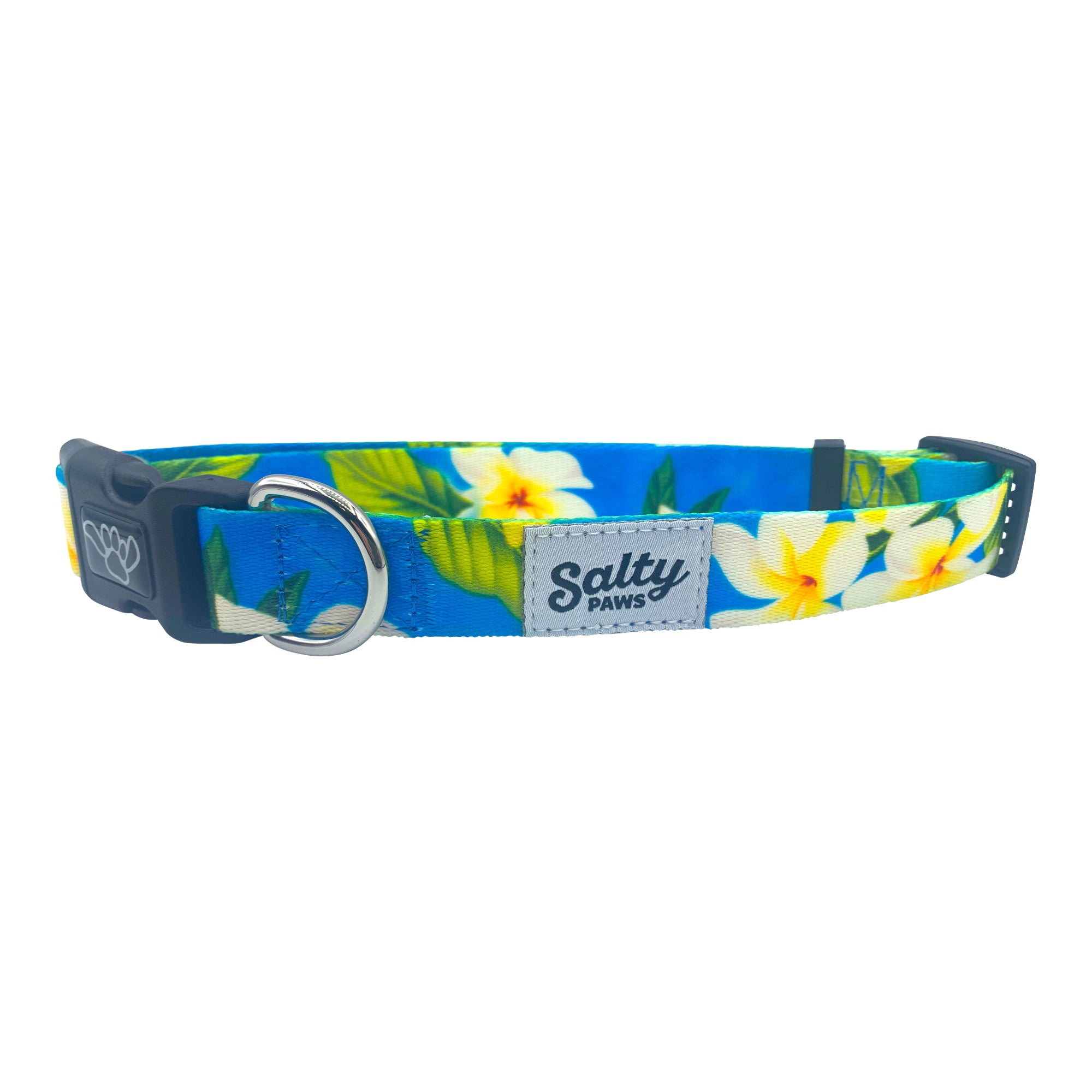 Salty Paws Surfing Dog Collar | Designs for Beach Dogs, Floral, Fishing, Surfing, Hawaiian, Blue Plumaria M