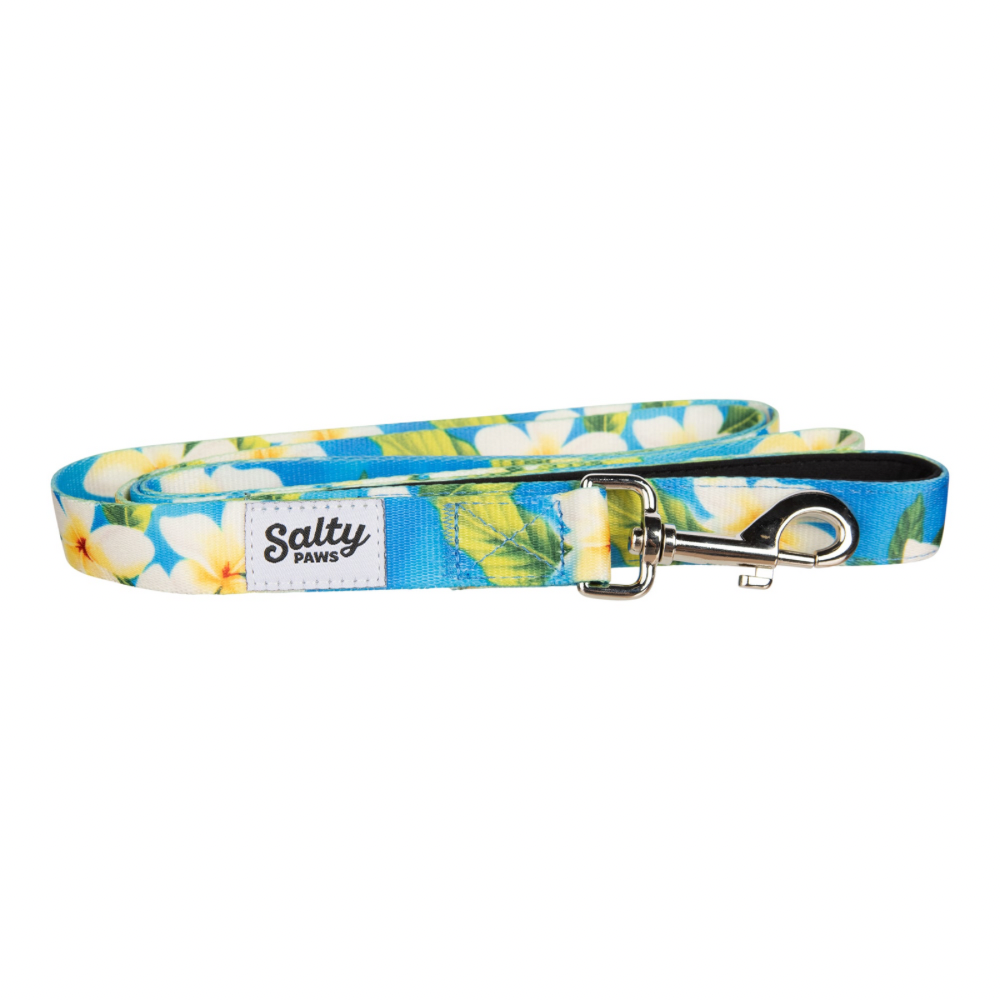 Salty Paws Leash Blue Plumeria M