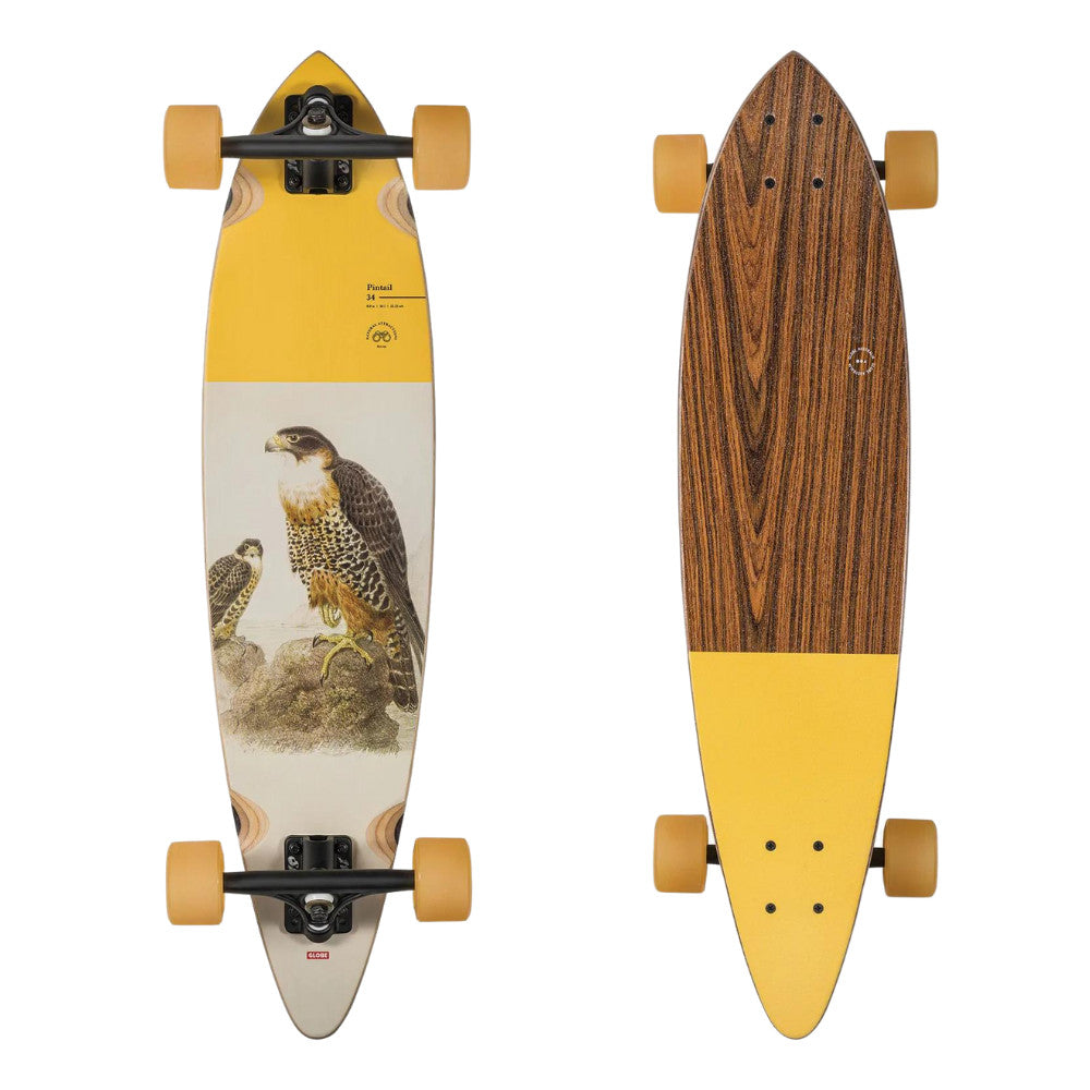 Globe Skateboards Pintail Complete Falcon 34