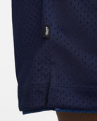 Nike SB Basketball Shorts 410 S