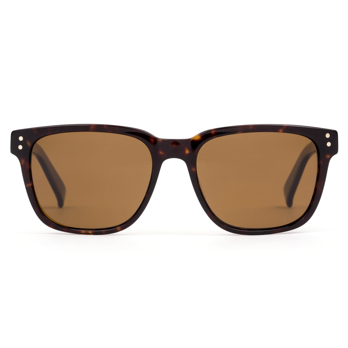 Otis Test of Time Polarized Sunglasses DarkTort Brown Square