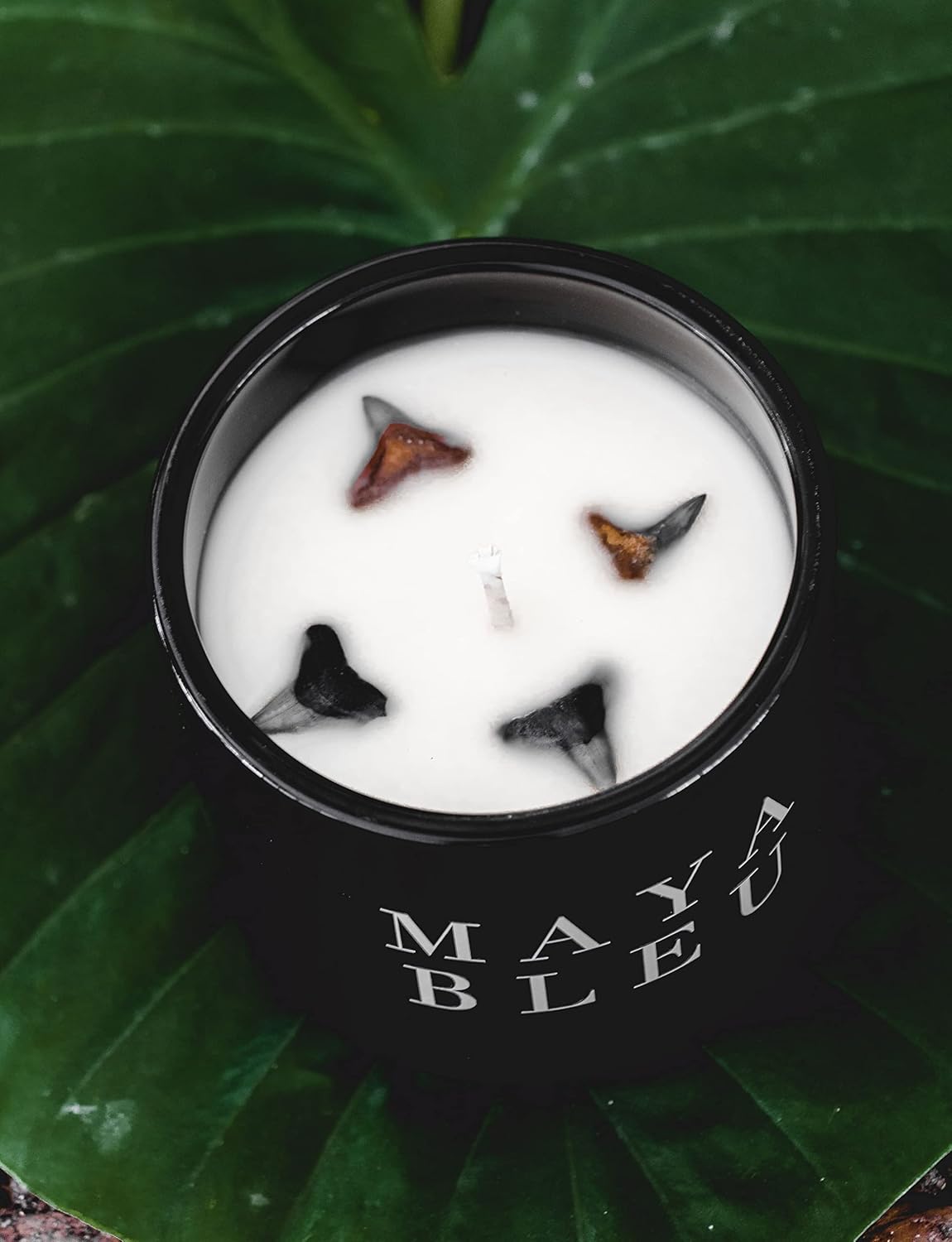 Maya Bleu Shark Tooth Candle Black 16oz