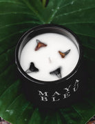 Maya Bleu Shark Tooth Candle Black 16oz