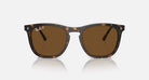Ray-Ban 0RB2210 Polarized Sunglasses Havana Brown