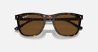 Ray-Ban 0RB2210 Polarized Sunglasses Havana Brown