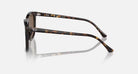 Ray-Ban 0RB2210 Polarized Sunglasses Havana Brown