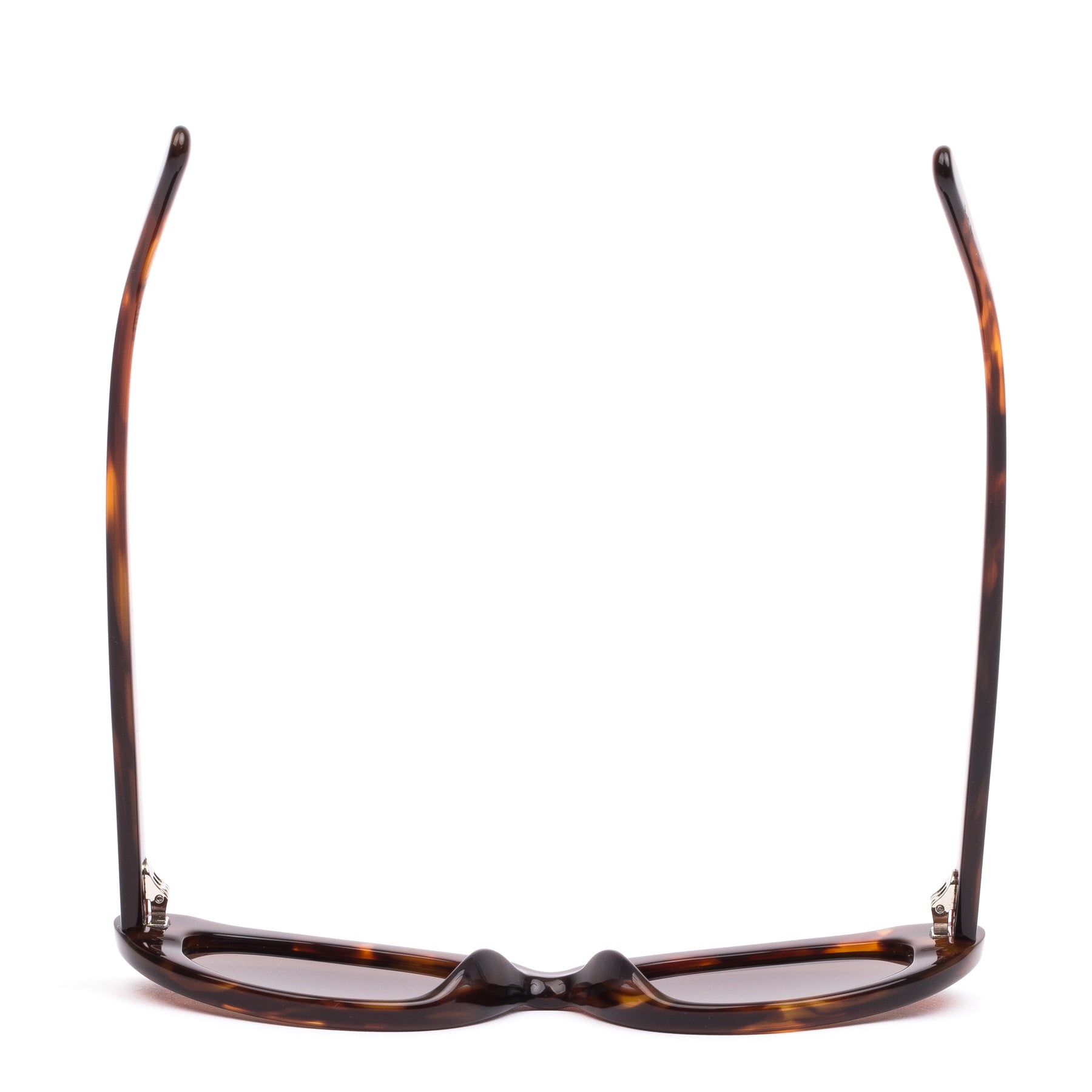 Sito Siena Sunglasses BurntOrangeTort Coffee