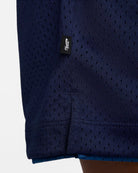 Nike SB Basketball Shorts 410 S