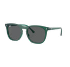 Ray-Ban 0RB2210 Polarized Sunglasses