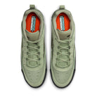 Nike SB Ishod 2  300 12