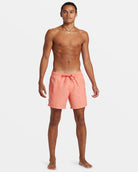 Quiksilver Everyday Solid Volley Short MJL0 XXL