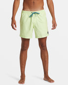 Quiksilver Everyday Solid Volley Short GCQ0 S