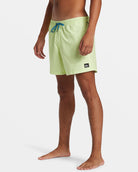 Quiksilver Everyday Solid Volley Short GCQ0 L