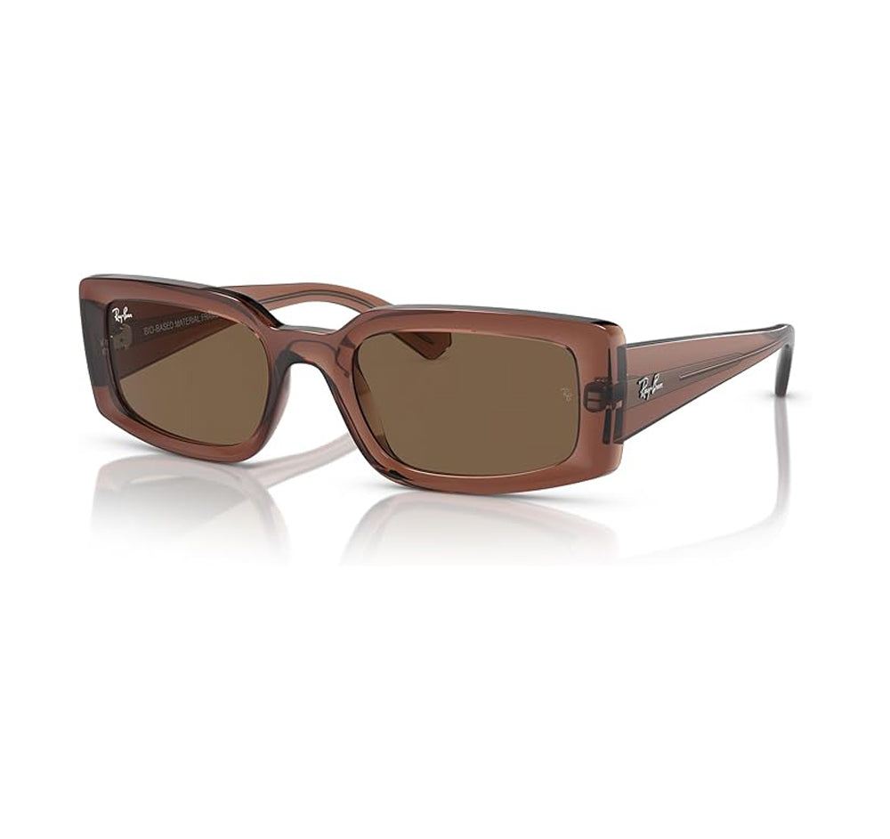 Ray-Ban Kilian Sunglasses TransparentBrown DkBrown