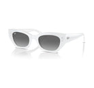 Ray-Ban Zena Polarized Sunglasses
