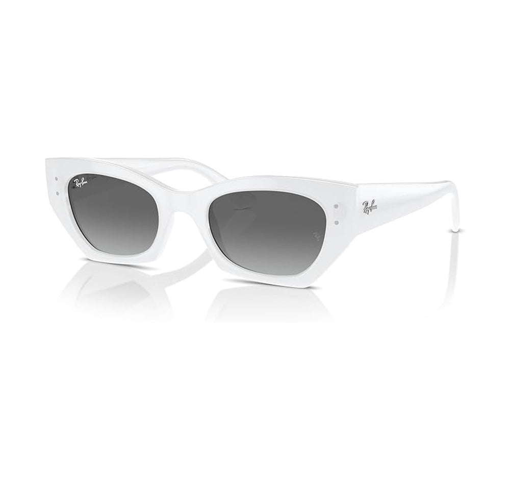 Ray-Ban Zena Polarized Sunglasses