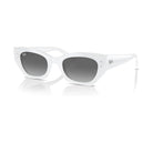Ray-Ban Zena Polarized Sunglasses