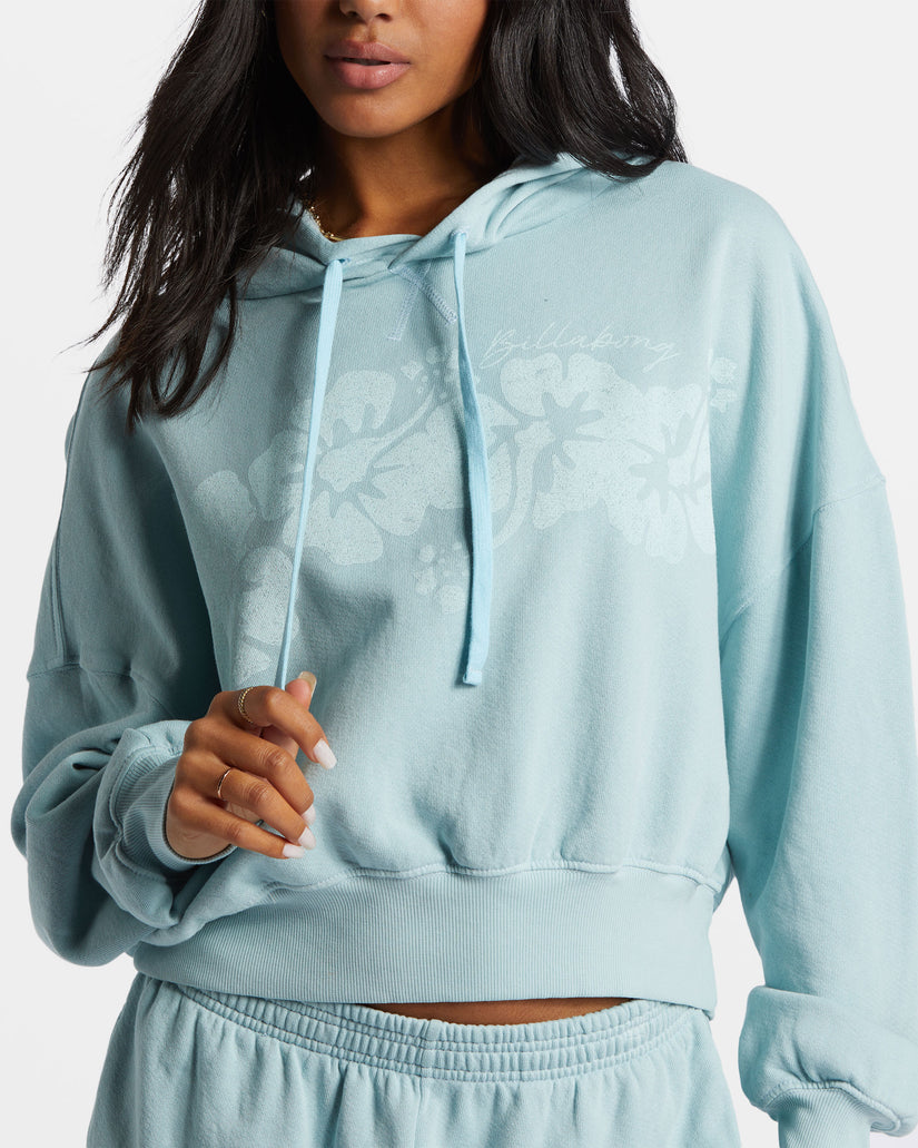 Billabong Easy To Love Hoodie  BGG0 L