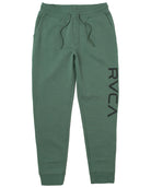 RVCA Big RVCA Pant 2022 GNB0 S