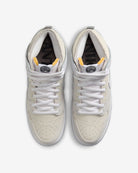 Nike Dunk High QS 100 11