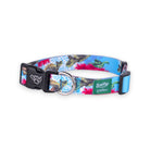 Salty Paws Surfing Dog Collar | Designs for Beach Dogs,  Floral, Fishing, Surfing, Hawaiian,  TurtleReef L