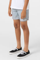 O'neill Perform Light Lined Elastic Waste Boardshorts  LGR L