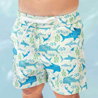 Emerson and Friends Boys Swim Trunks  SharkFriends 8-9K