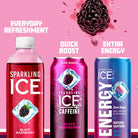 Sparkling Ice Water BlackRaspberry 17 FL OZ