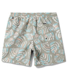 Quiksilver EveryDay Mix Volley  PAA L