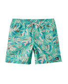 Quiksilver EveryDay Mix Volley  BVF XL