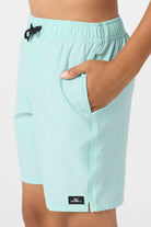 O'Neill Boys Lennox Hermosa Solid 16in Volley Short PTQ S