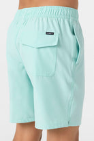 O'Neill Boys Lennox Hermosa Solid 16in Volley Short PTQ S