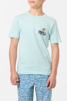O'Neill Axelrad SS Tee PTQ S
