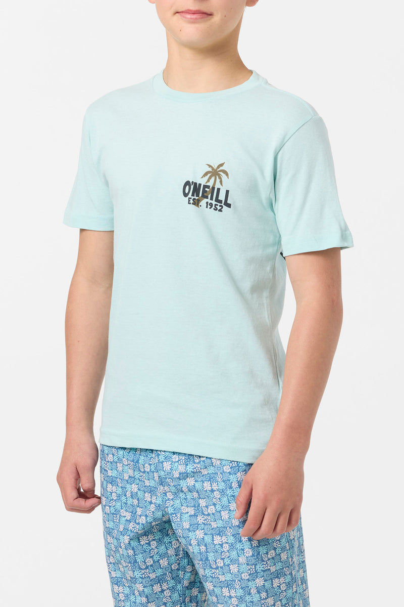 O'Neill Axelrad SS Tee PTQ S
