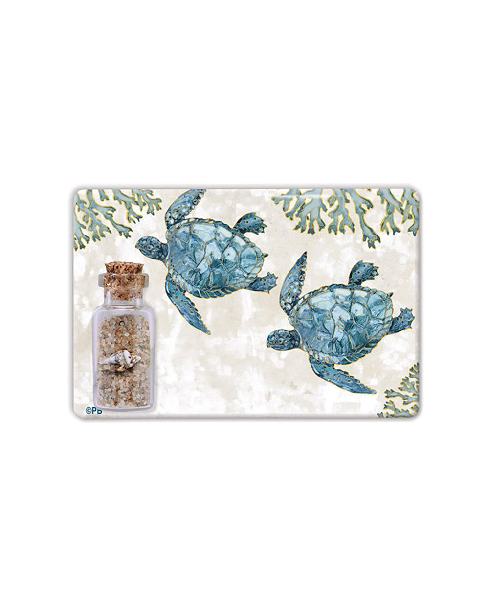 Cape Shore Magnet  PompanoJarPlayaSeaTurtle