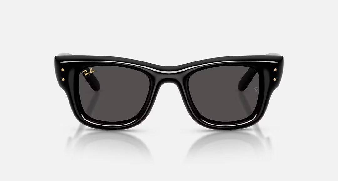 Ray-Ban Wayfarer Puffer Sunglasses Black UltraBlack