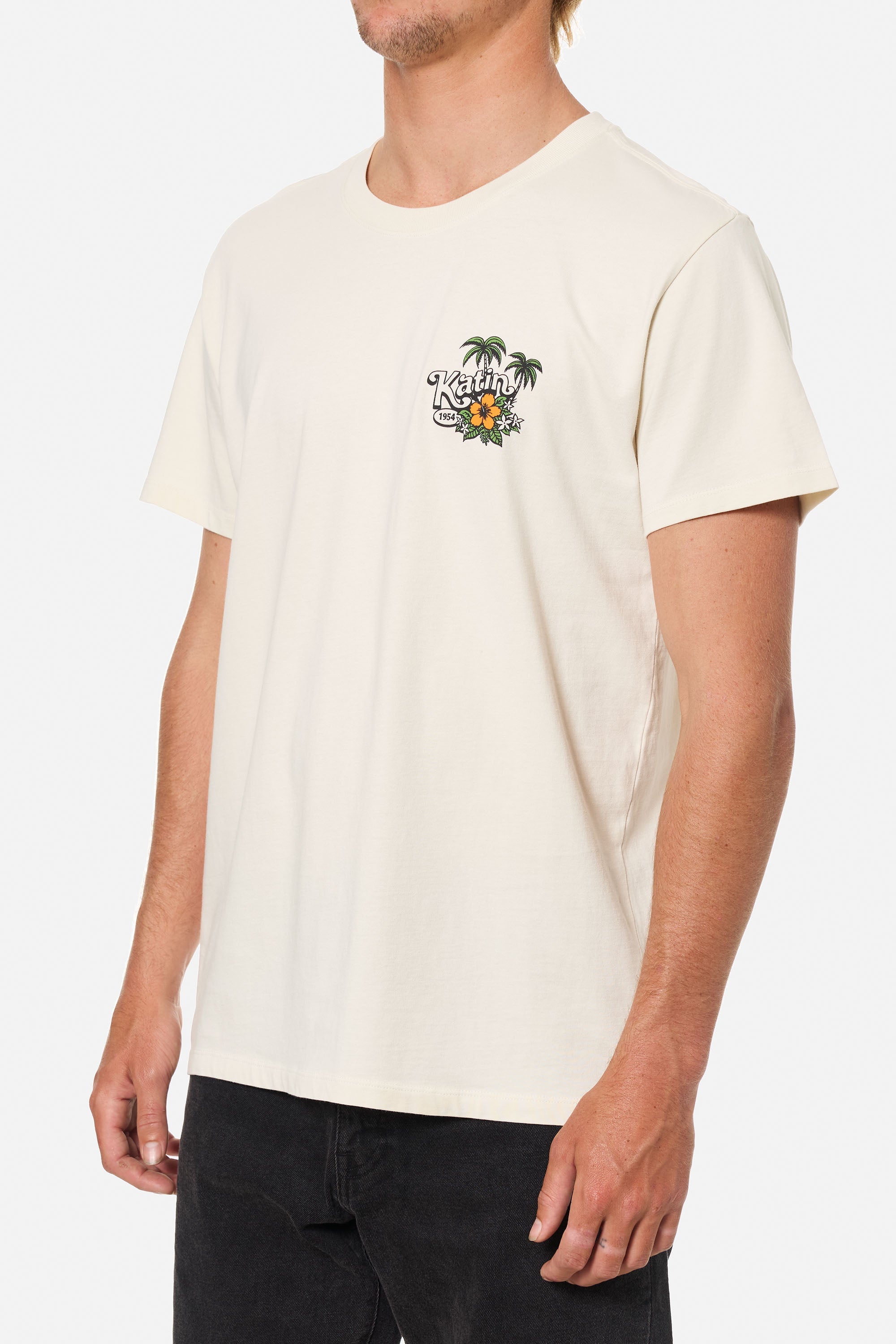 KATIN MEMORIES TEE VINTAGE WHITE (VWHT) M