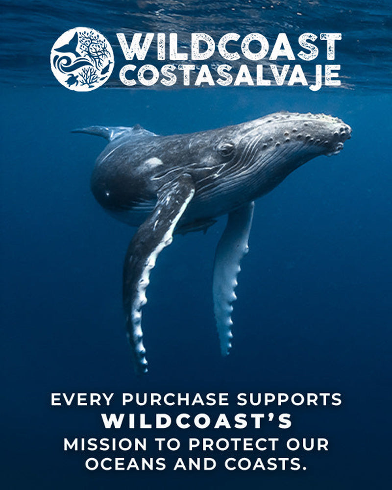 Sand Cloud Marisol LEB Regular