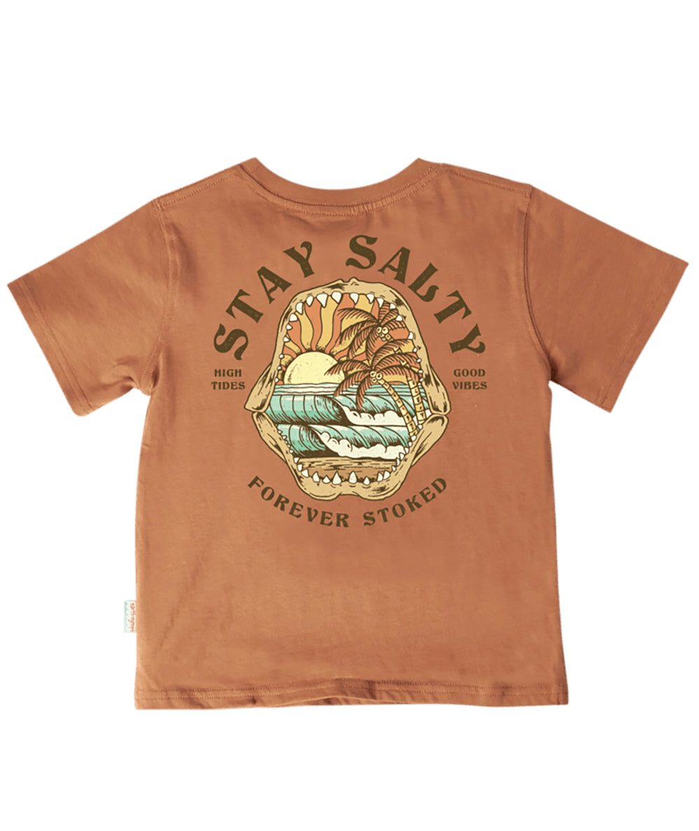 Tank Stream Shark Scenic Boys Tee DFB-Latte 6