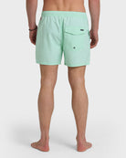 Quiksilver Everyday Solid Volley 15  BOK-BROOK GREEN L