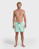 Quiksilver Everyday Solid Volley 15  BOK-BROOK GREEN L