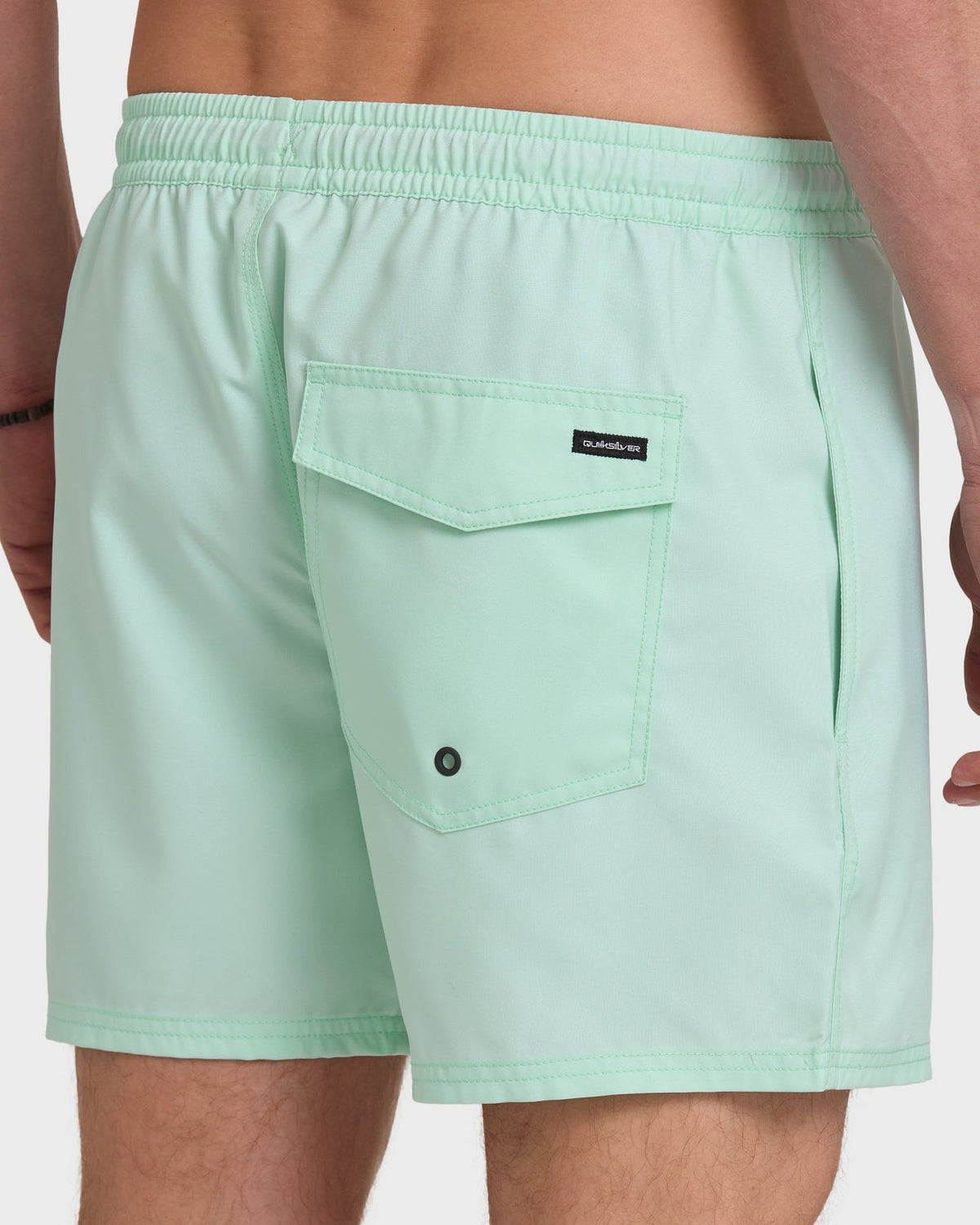 Quiksilver Everyday Solid Volley 15  BOK-BROOK GREEN L