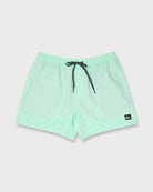 Quiksilver Everyday Solid Volley 15  BOK-BROOK GREEN L