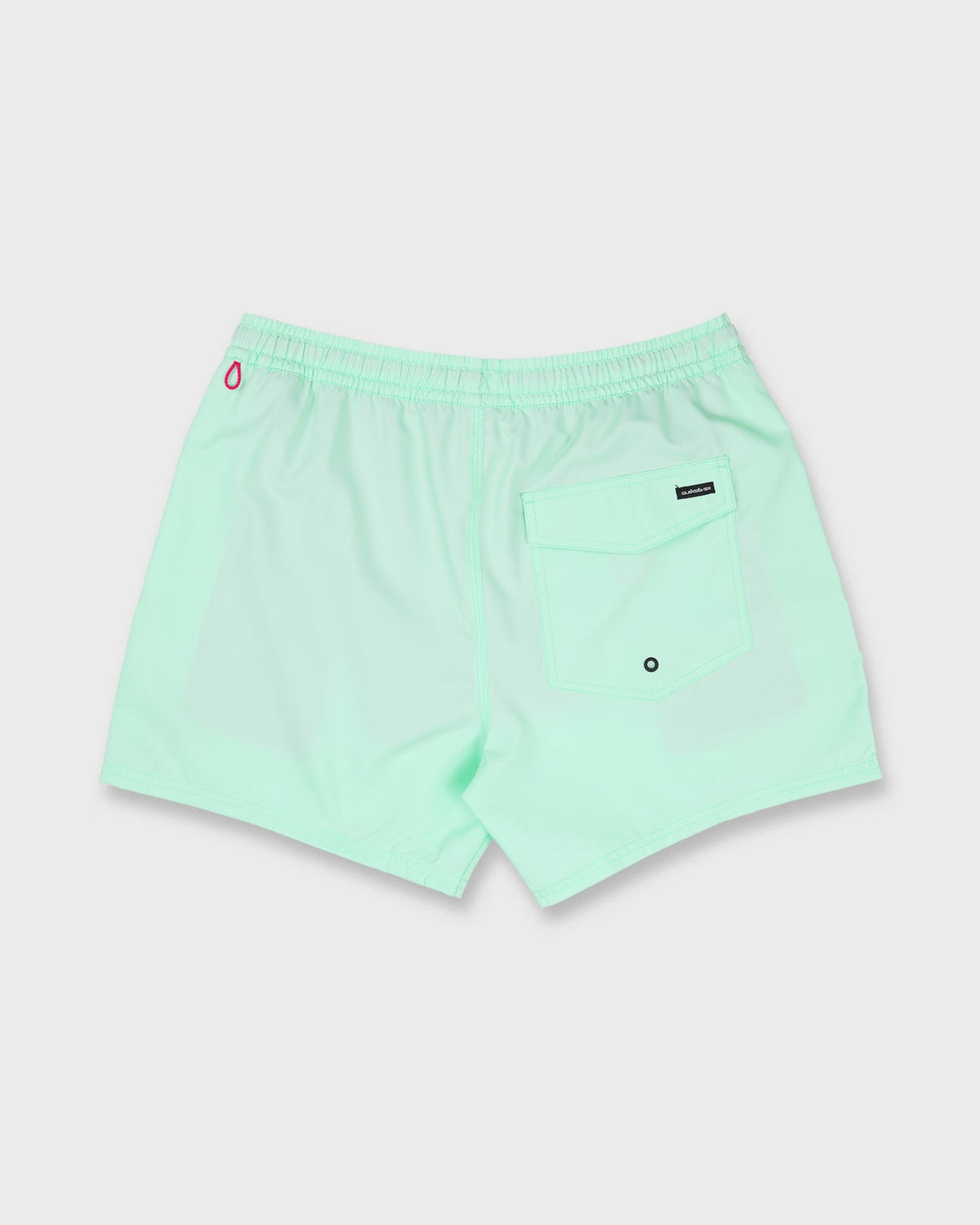Quiksilver Everyday Solid Volley 15  BOK-BROOK GREEN L
