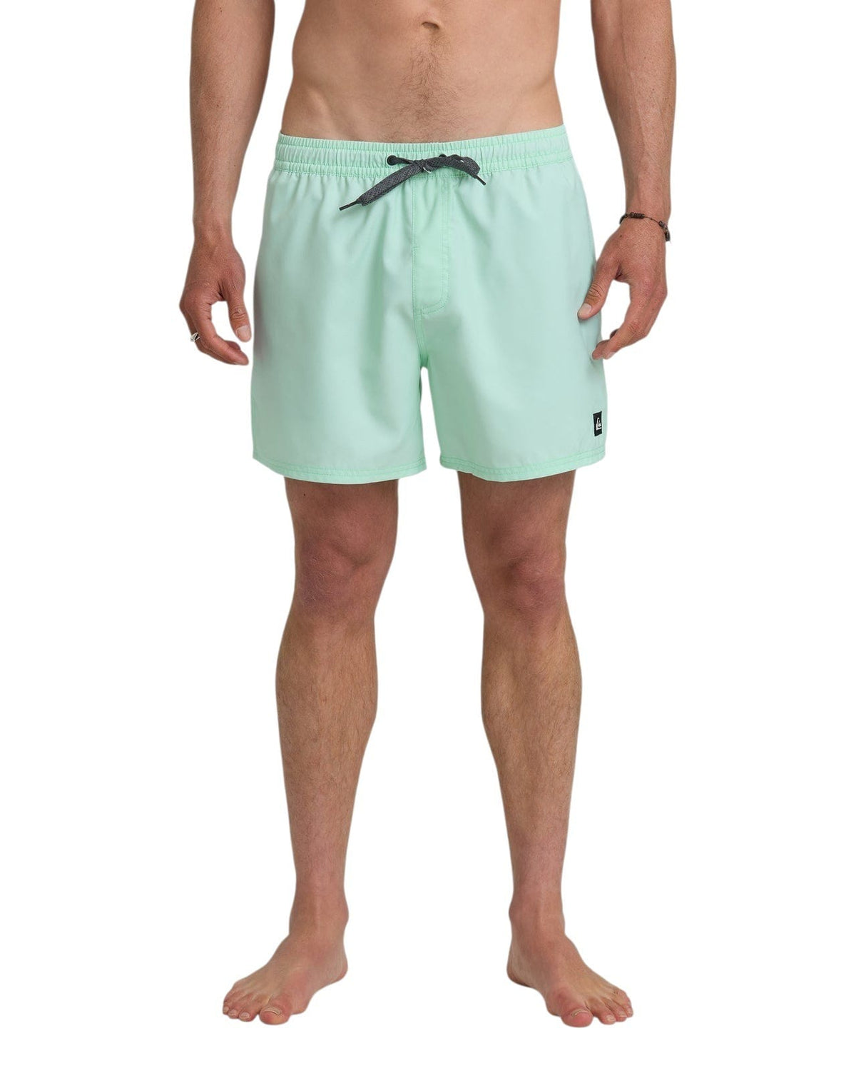 Quiksilver Everyday Solid Volley 15  BOK-BROOK GREEN L