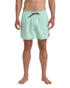 Quiksilver Everyday Solid Volley 15  BOK-BROOK GREEN L