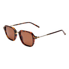 I-SEA RILEY POLARIZED SUNGLASSES TORT / BROWN POLARIZED LENS